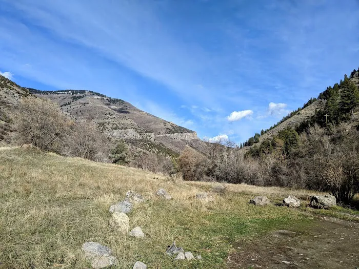 Dewitt Picnic Area Picture 2