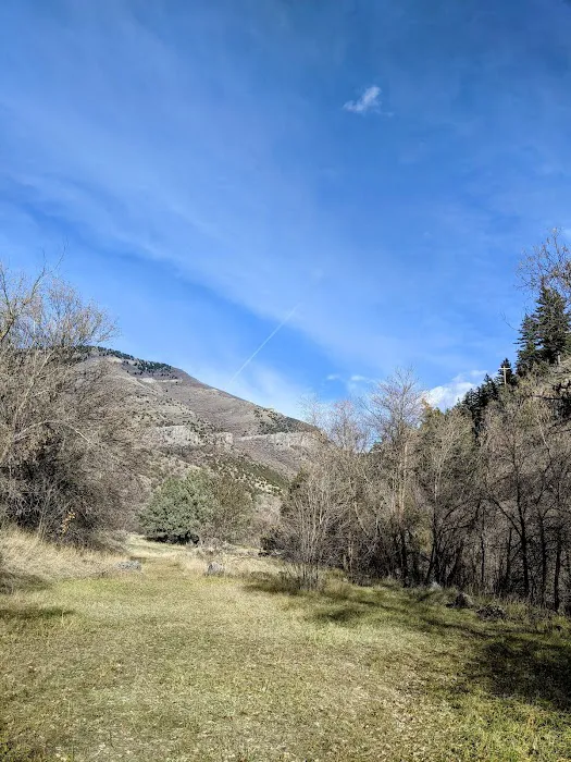 Dewitt Picnic Area Picture 1