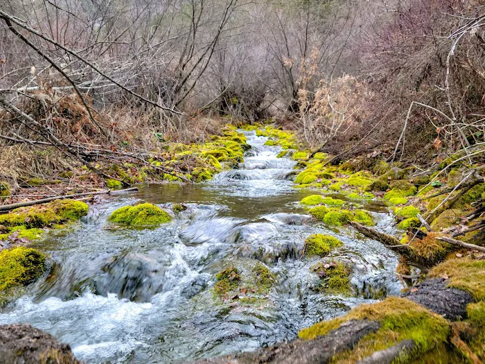 Spring Hollow Campground Picture 6