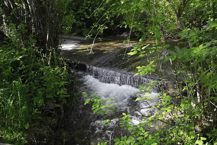 Spring Hollow Campground Picture 5