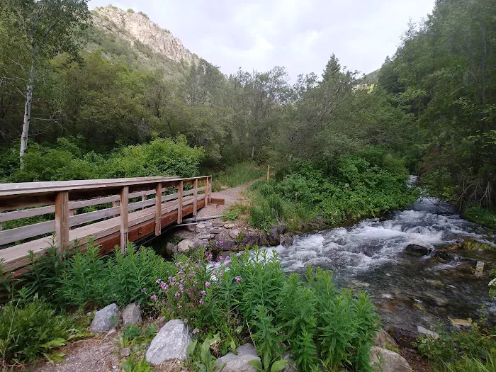 Spring Hollow Campground Picture 10