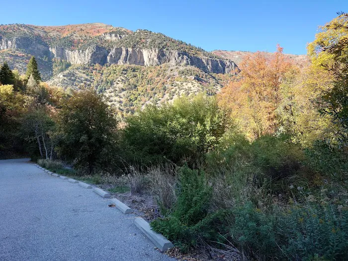 Spring Hollow Campground Picture 7