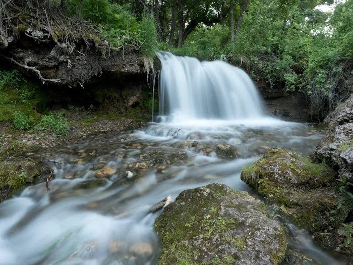 Spring Hollow Campground Picture 8