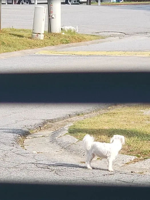 Jones RV Park Picture 5