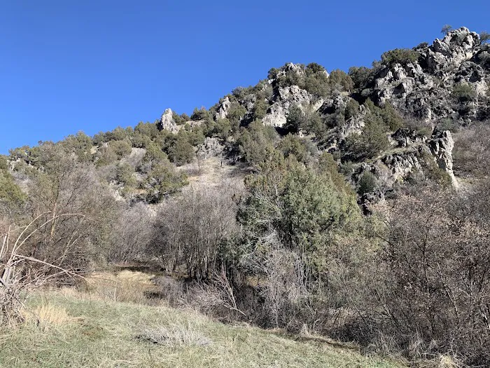 Preston Valley Campground Picture 3