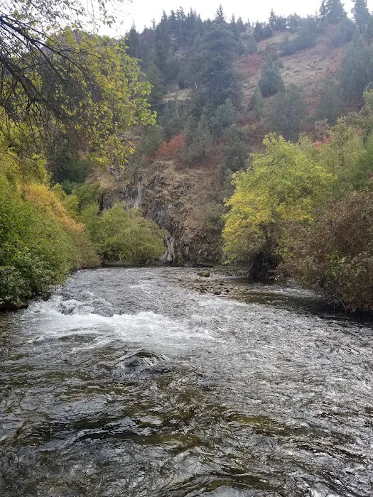 Preston Valley Campground Picture 1