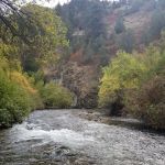 Preston Valley Campground