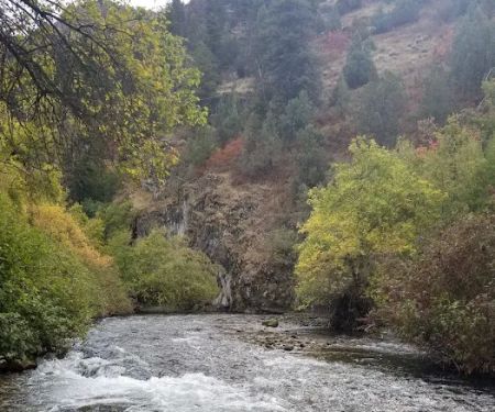 Preston Valley Campground