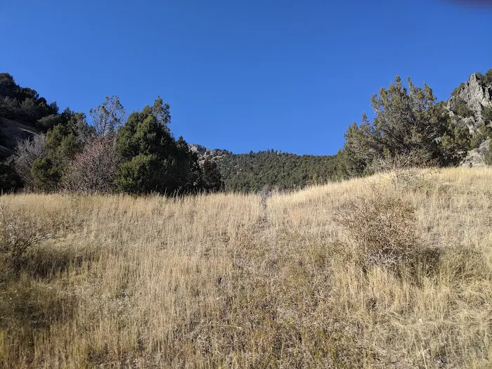 Preston Valley Campground Picture 4