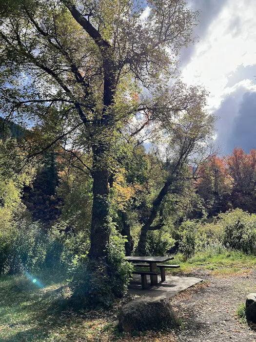 Preston Valley Campground Picture 6