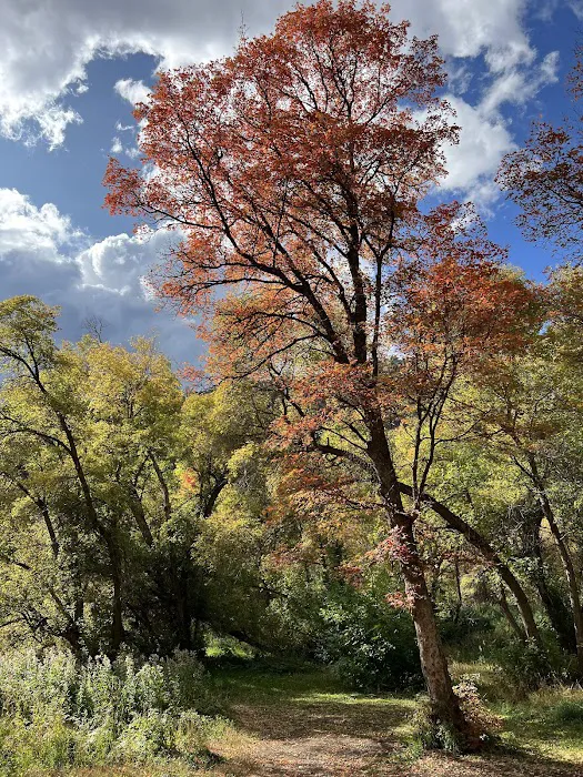 Preston Valley Campground Picture 9