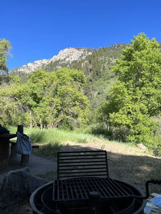 Preston Valley Campground Picture 10