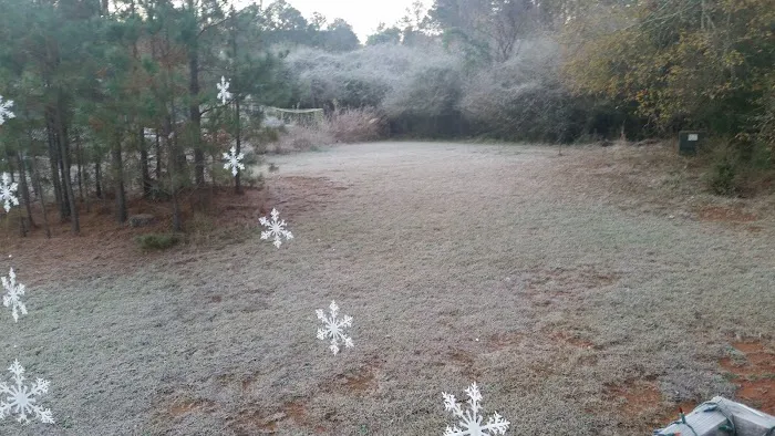 Madison Woods Manufactured Home Community Picture 1