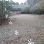 Madison Woods Manufactured Home Community