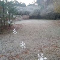 Madison Woods Manufactured Home Community ico