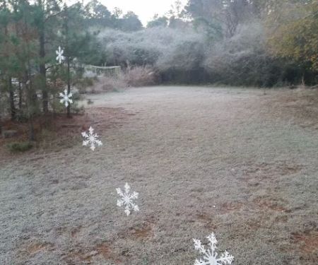 Madison Woods Manufactured Home Community