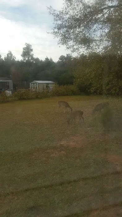 Madison Woods Manufactured Home Community Picture 2