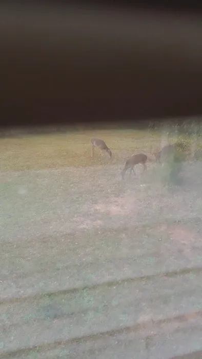 Madison Woods Manufactured Home Community Picture 4