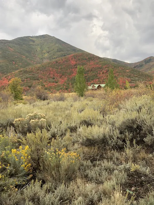 Chokecherry Picnic Area Picture 2