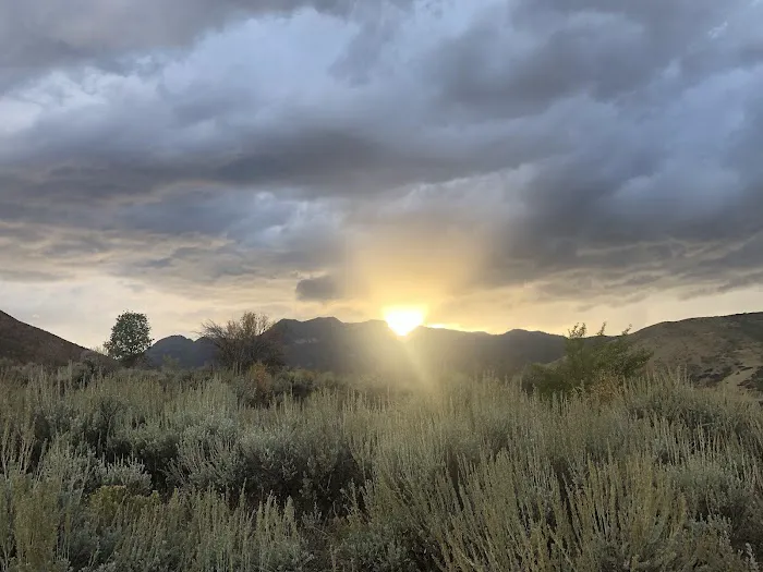 Chokecherry Picnic Area Picture 6