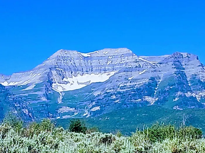 Chokecherry Picnic Area Picture 5