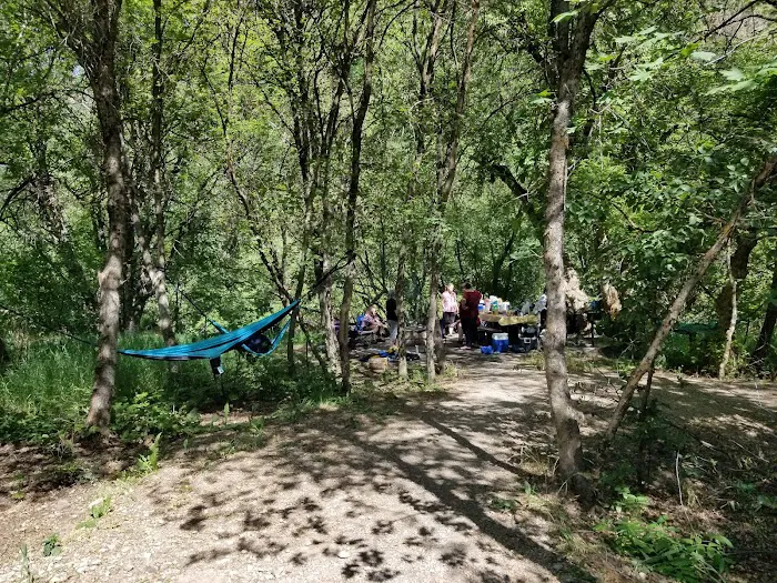 Chokecherry Picnic Area Picture 8