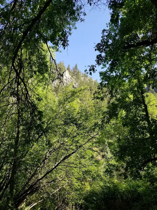 Chokecherry Picnic Area Picture 10