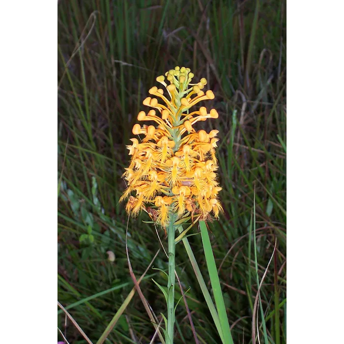 Sunrise Extended Stay RV Park Picture 3