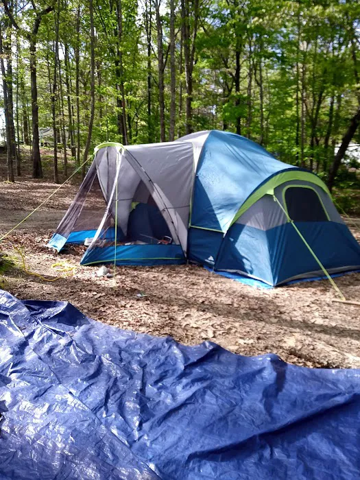 Sunrise Extended Stay RV Park Picture 7