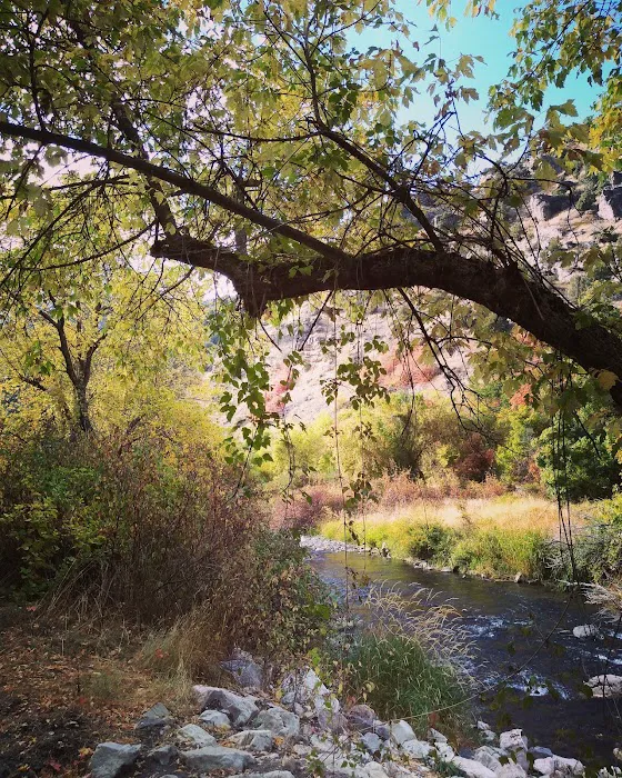 Bridger Campground Picture 3