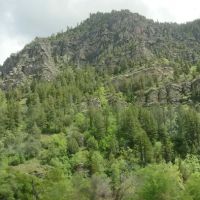 Bridger Campground ico