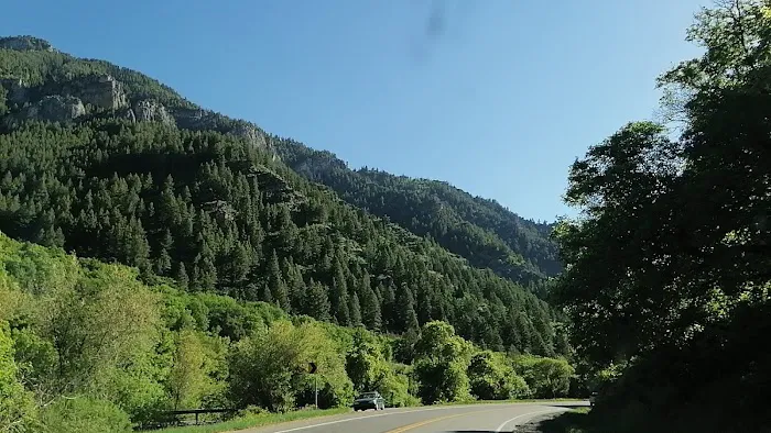 Bridger Campground Picture 5