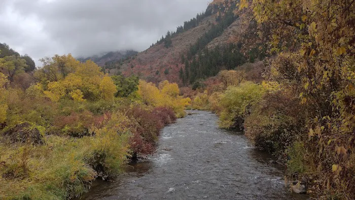 Bridger Campground Picture 4