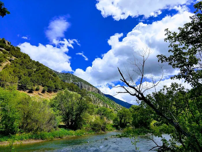 Bridger Campground Picture 9