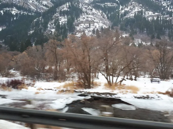 Bridger Campground Picture 8