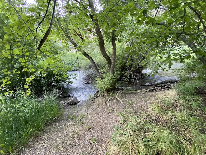 Bridger Campground Picture 7