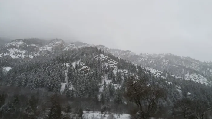 Bridger Campground Picture 10