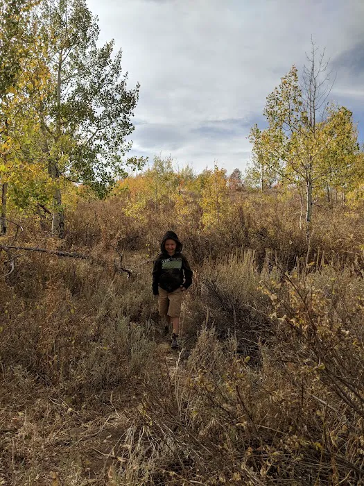 Dip Hollow Spring Picture 2