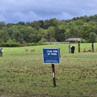 Twin Pine RV Park ico