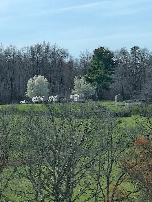 Twin Pine RV Park Picture 5