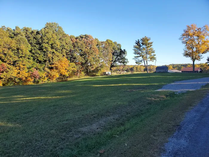 Twin Pine RV Park Picture 6