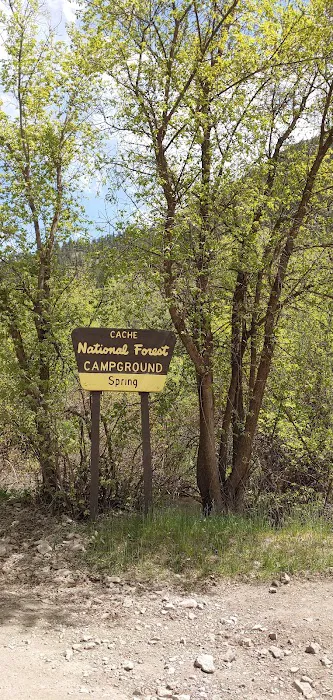 Spring Campground Picture 4