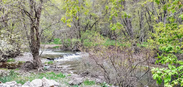 Spring Campground Picture 2