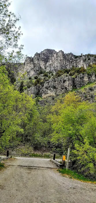 Spring Campground Picture 1