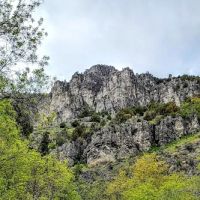 Spring Campground ico