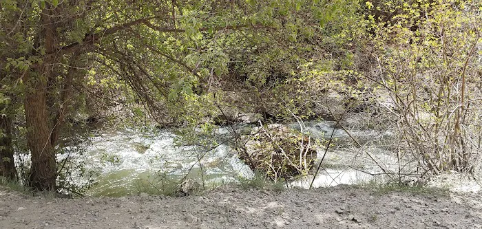 Spring Campground Picture 6