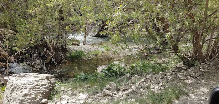 Spring Campground Picture 5