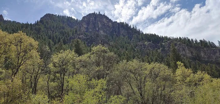 Spring Campground Picture 7