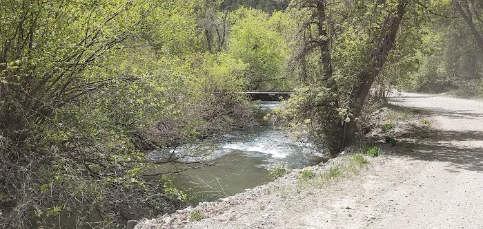 Spring Campground Picture 9