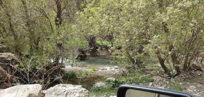 Spring Campground Picture 8